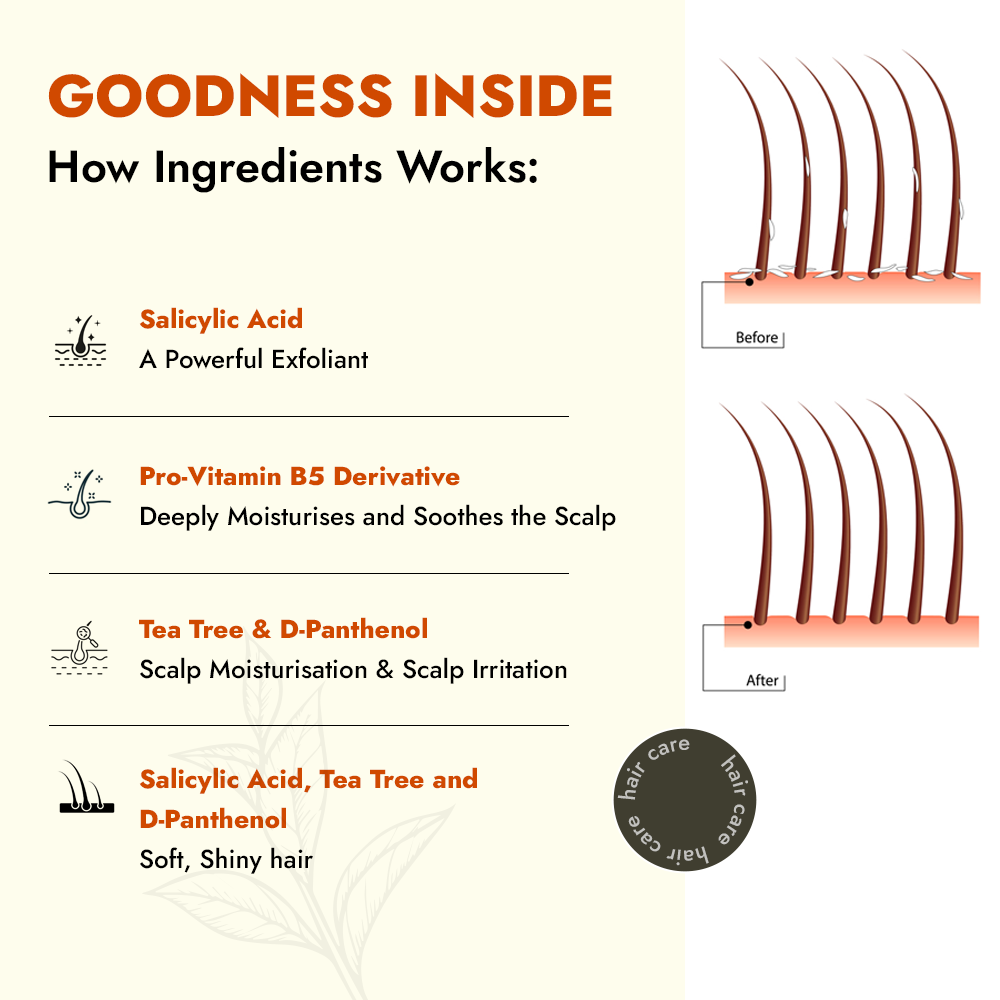 ALZIBA CARES Dandruff Care Scalp Moisturising Shampoo with Salicylic Acid,Tea Tree and D-Panthenol | for Dandruff Clean, Scalp Moisturise and Soft Hair | 200 ML | for Men and Women, All Season & all Hair Types ALZIBA CARES Dandruff Care Scalp Moisturising Shampoo with Salicylic Acid,Tea Tree and D-Panthenol | for Dandruff Clean, Scalp Moisturise and Soft Hair | 200 ML | for Men and Women, All Season & all Hair Types