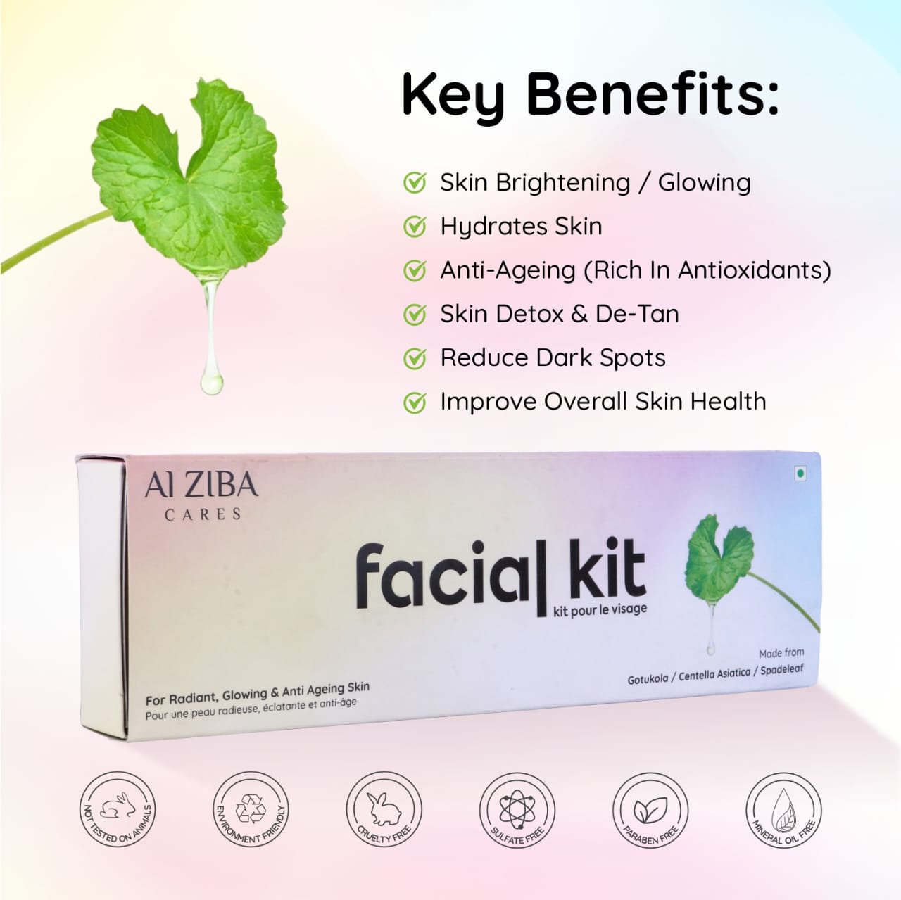 Alziba Cares Facial Kit